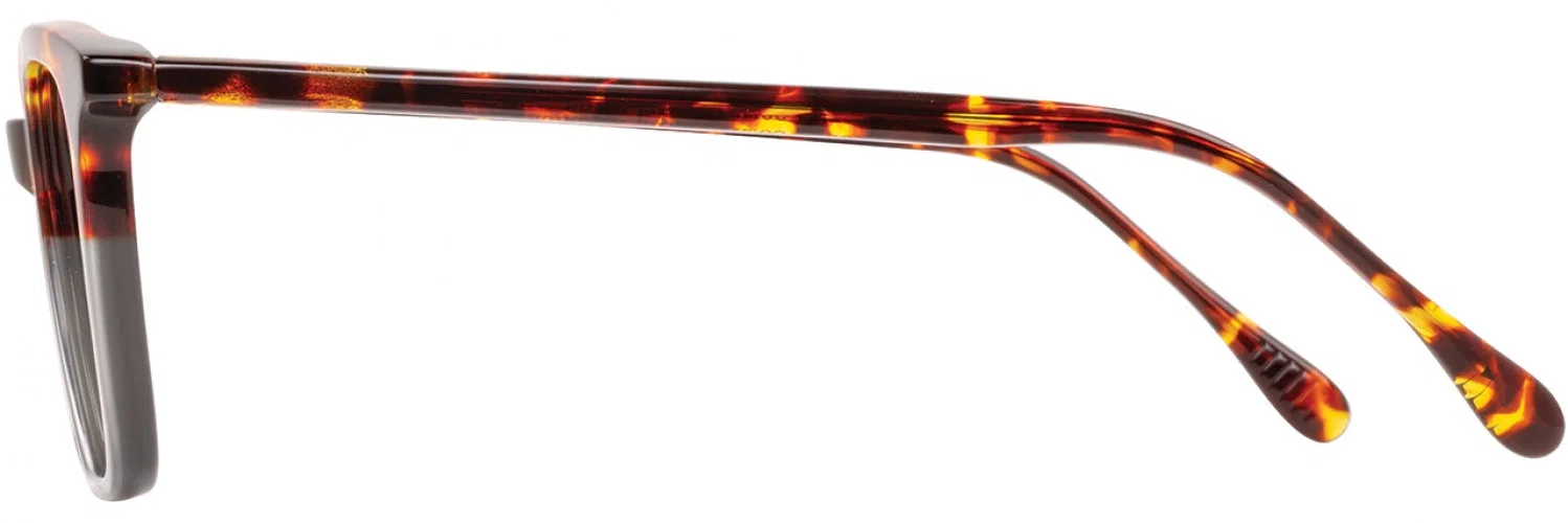 Alan J AJ518 Eyeglasses - view 20